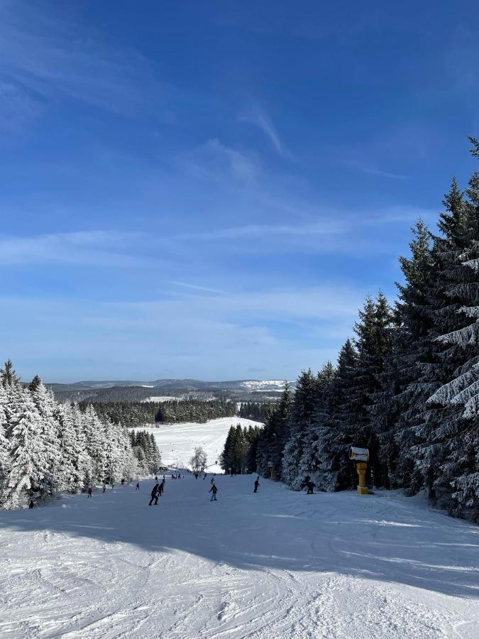 Appartement Familie Willems Winterberg Am Waltenberg Extérieur photo